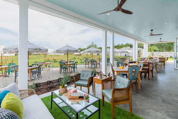 Merrie Mill Farm and Vineyard