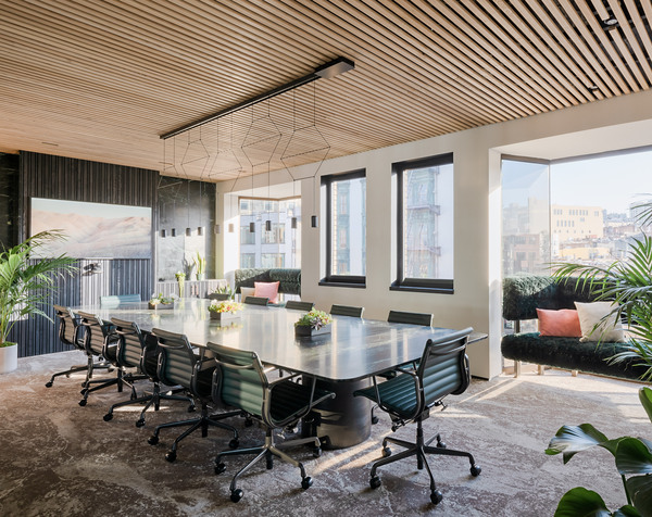 CANOPY Jackson Square