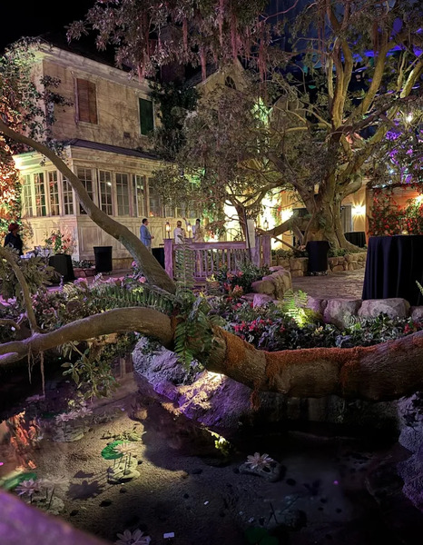 ACCENT New Orleans DMC