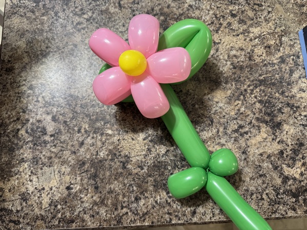 Twisted Carnival Company