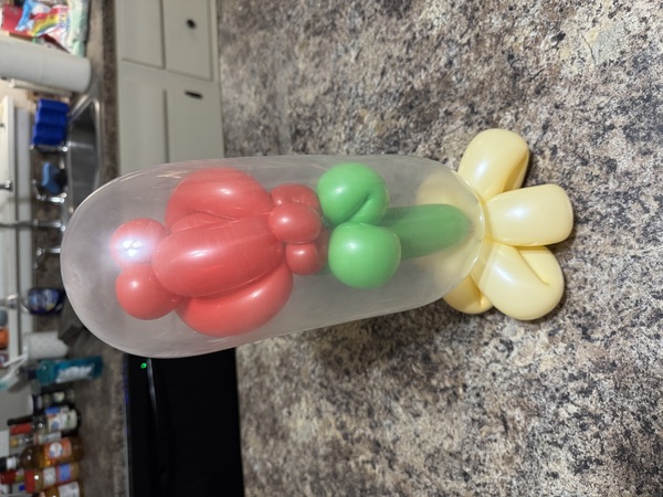 Twisted Carnival Company