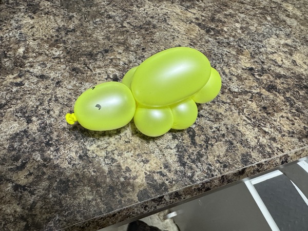 Twisted Carnival Company