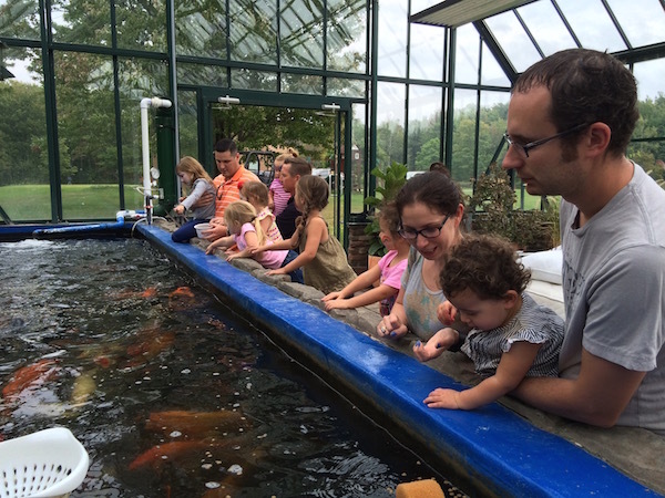 Paul’s Organic Farm-Events