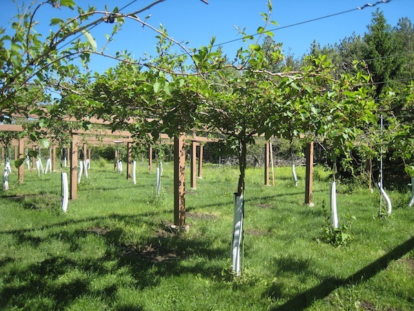 Paul’s Organic Farm-Events