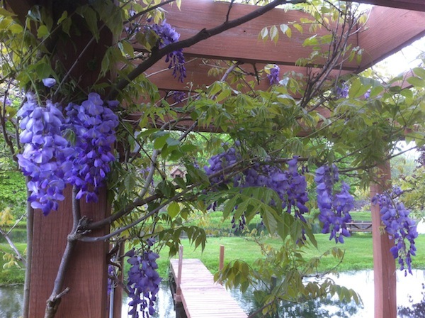 Paul’s Organic Farm-Events