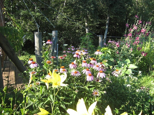 Paul’s Organic Farm-Events