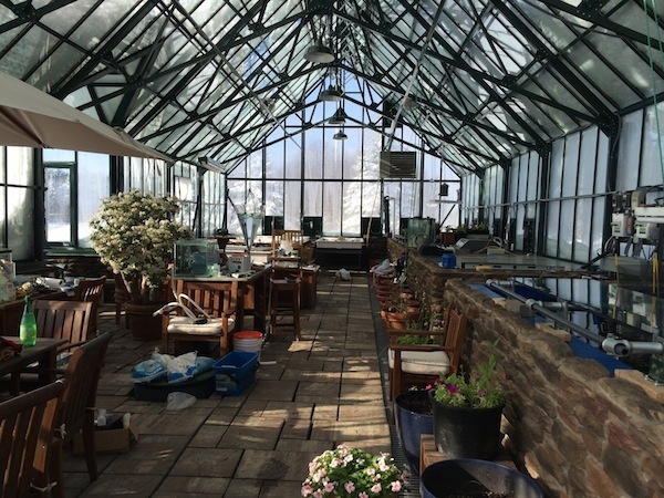 Paul’s Organic Farm-Events