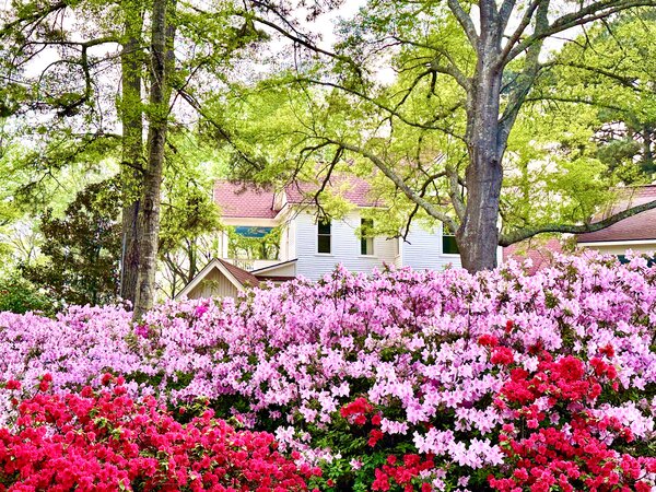 Victoria Station Wedding Venue