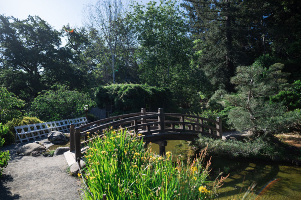 Hakone Estate and Gardens