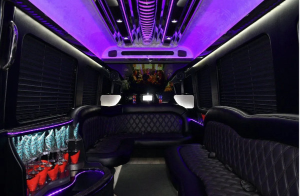 Moonlight Limo & Party Bus