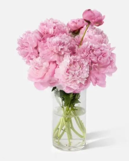 Ziegfield Florist, Gifts & Flower Delivery