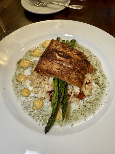 Deep Blue at Kitty Knight