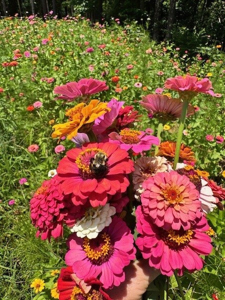 The Barn at Deerfield