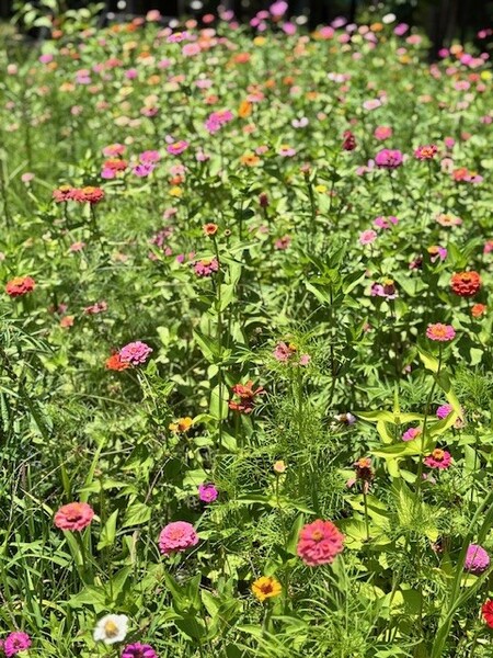 The Barn at Deerfield
