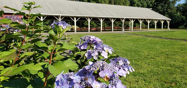 Summit View Banquet and Meeting House & Hamels Creative Catering