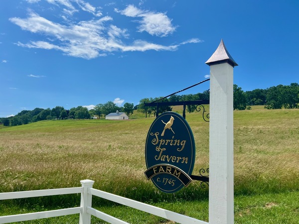 Spring Tavern Farm