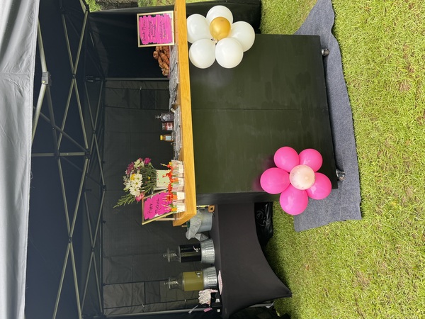 Traveling Tipsy Tavern