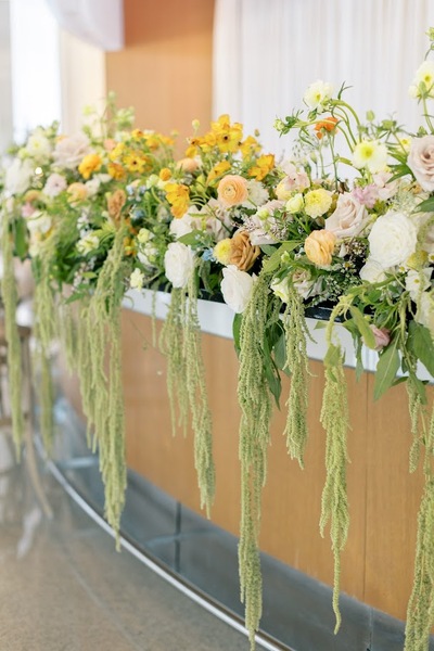 Myriad Botanical Gardens