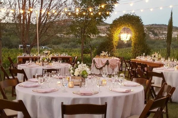 Alcantara Vineyards and Winery