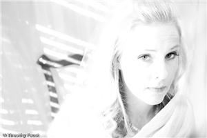 Timothy Faust Photography - Aspen