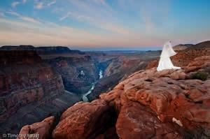 Timothy Faust Photography - Aspen