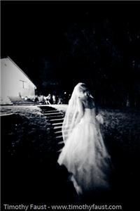 Timothy Faust Photography - Aspen