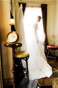 Timothy Faust Photography - Aspen