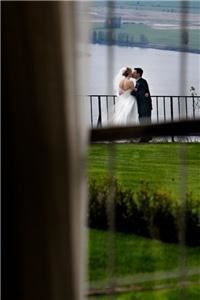 Timothy Faust Photography - Aspen