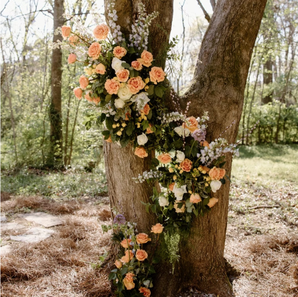 Lavender Hill Bed & Breakfast (& Events)