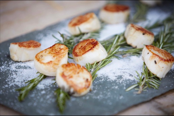 Woodlife Farm Market