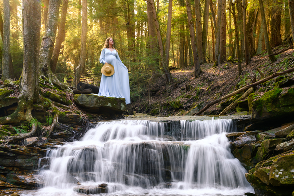 Will Porter Photography