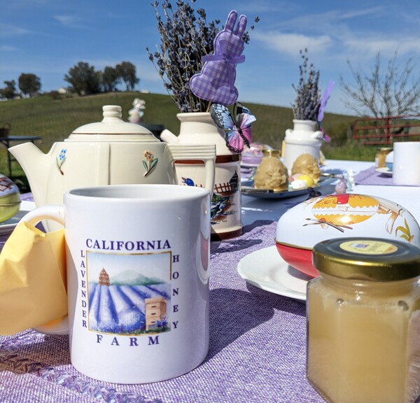 California Lavender Honey Farm