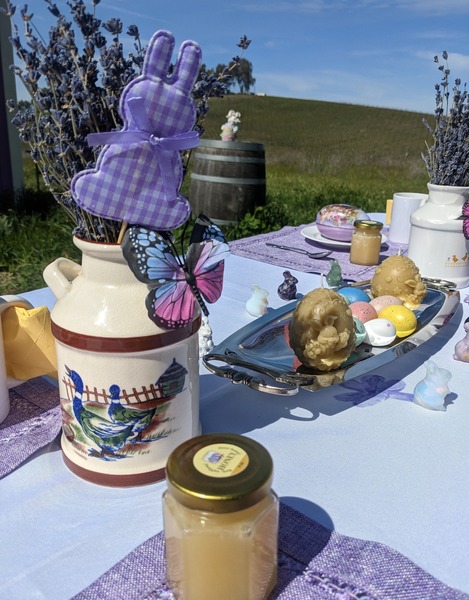 California Lavender Honey Farm