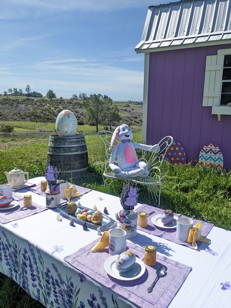 California Lavender Honey Farm