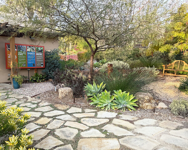 The Water Conservation Garden