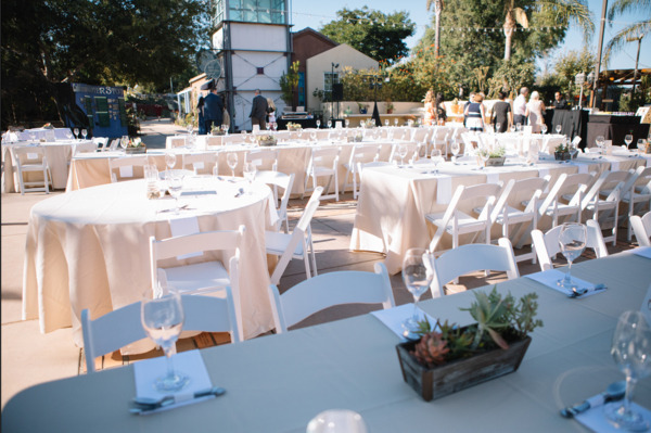 The Water Conservation Garden