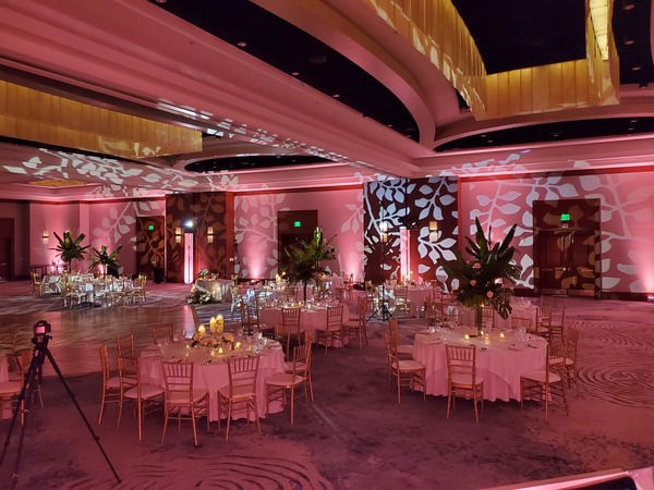 Dudha Productions LLC