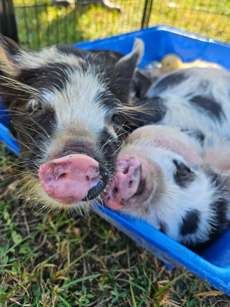 Popular Event Center