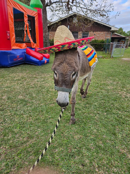 Popular Event Center