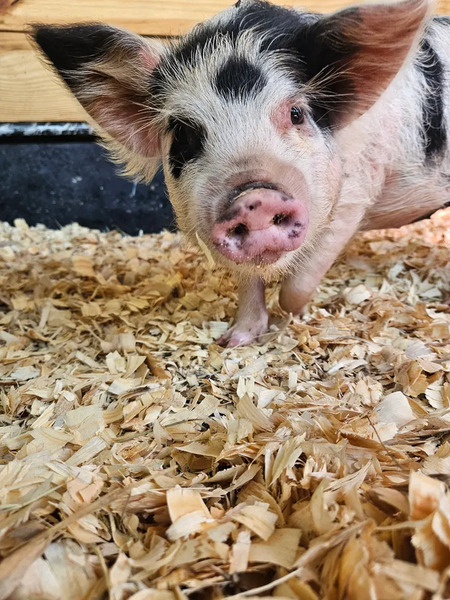 Popular Event Center