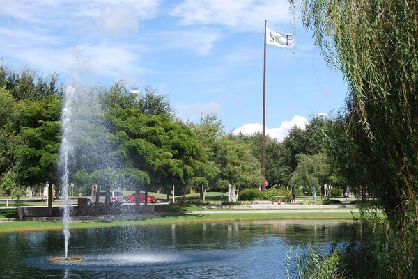 State College of Florida