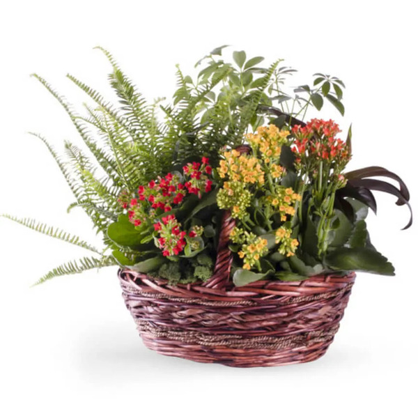 Smith Floral & Greenhouses