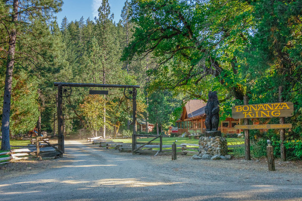 Bonanza King Resort