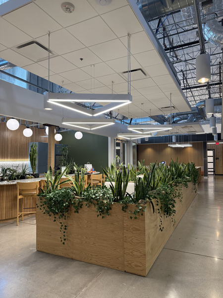 Loloft Phoenix, Arizona