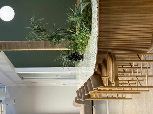 Loloft Phoenix, Arizona