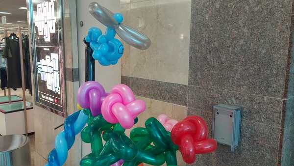 Jim Harden Balloon Twister And Magic