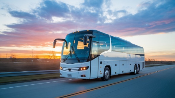 Charter Bus Springdale