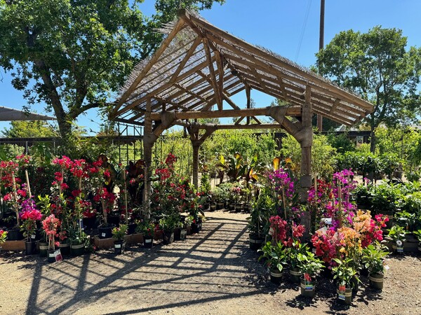 Alden Lane Nursery