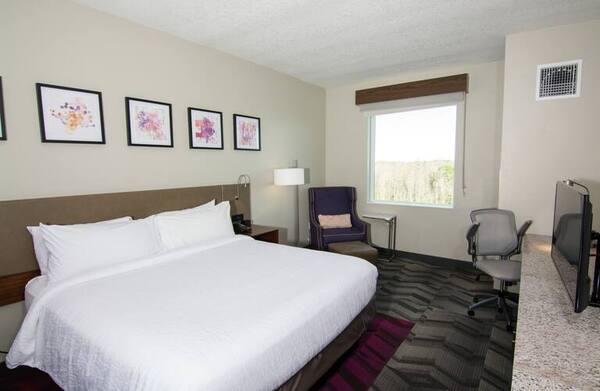 Hilton Garden Inn Tampa Suncoast Parkway