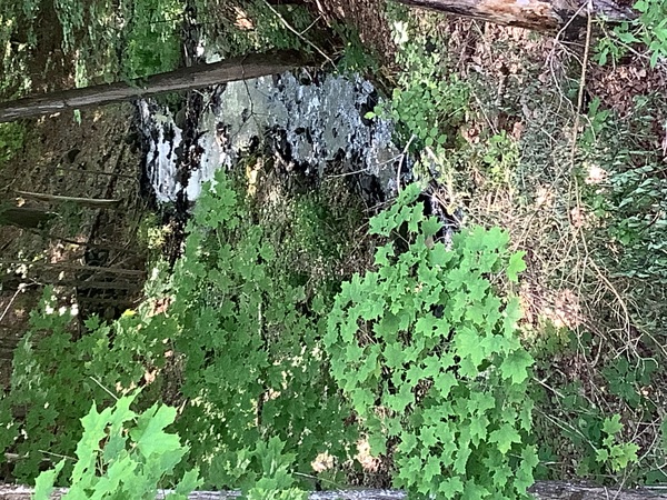 Northern Catskill Event Hall